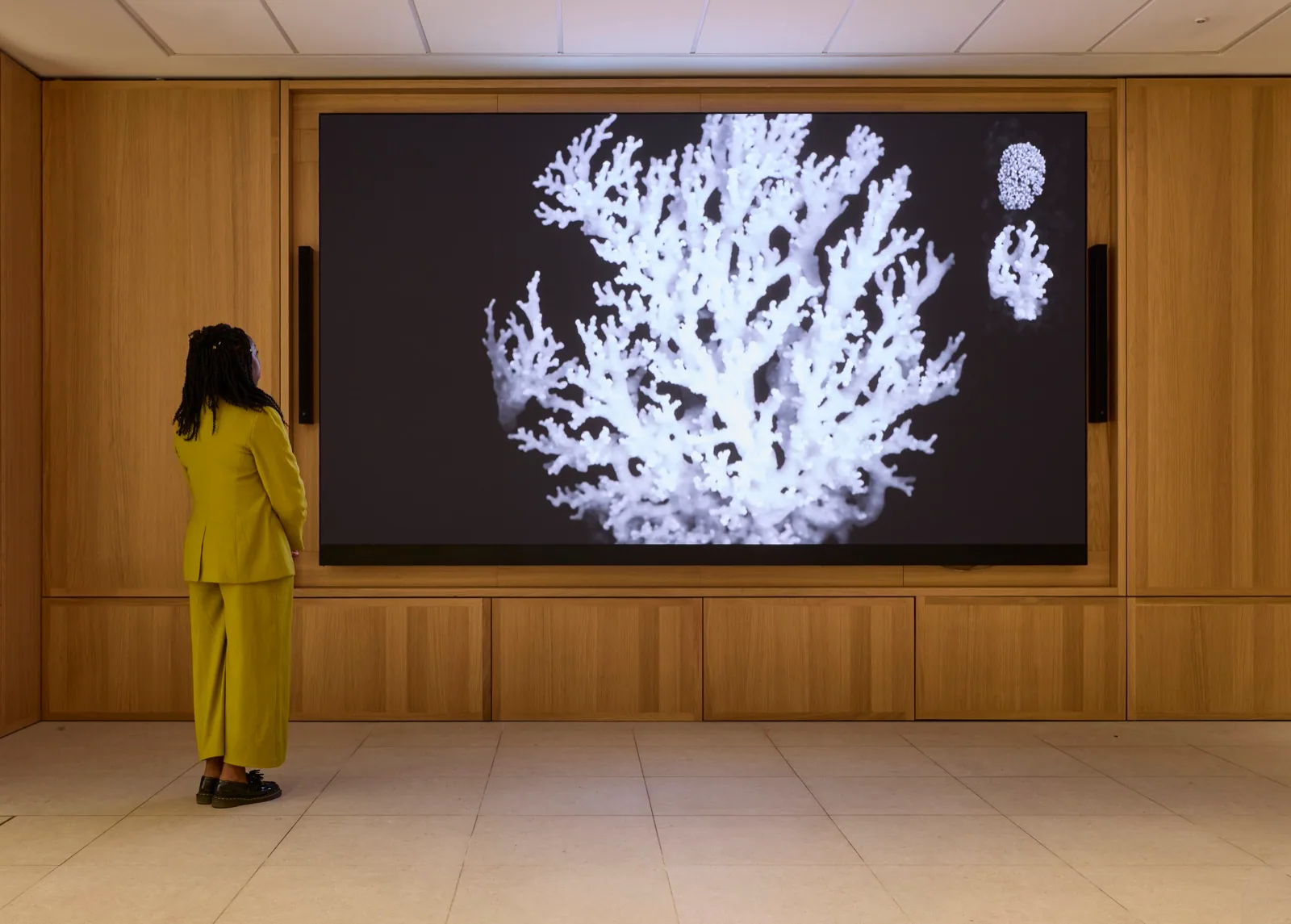 A visitor in yellow looks at a white coral-like form on a large screen