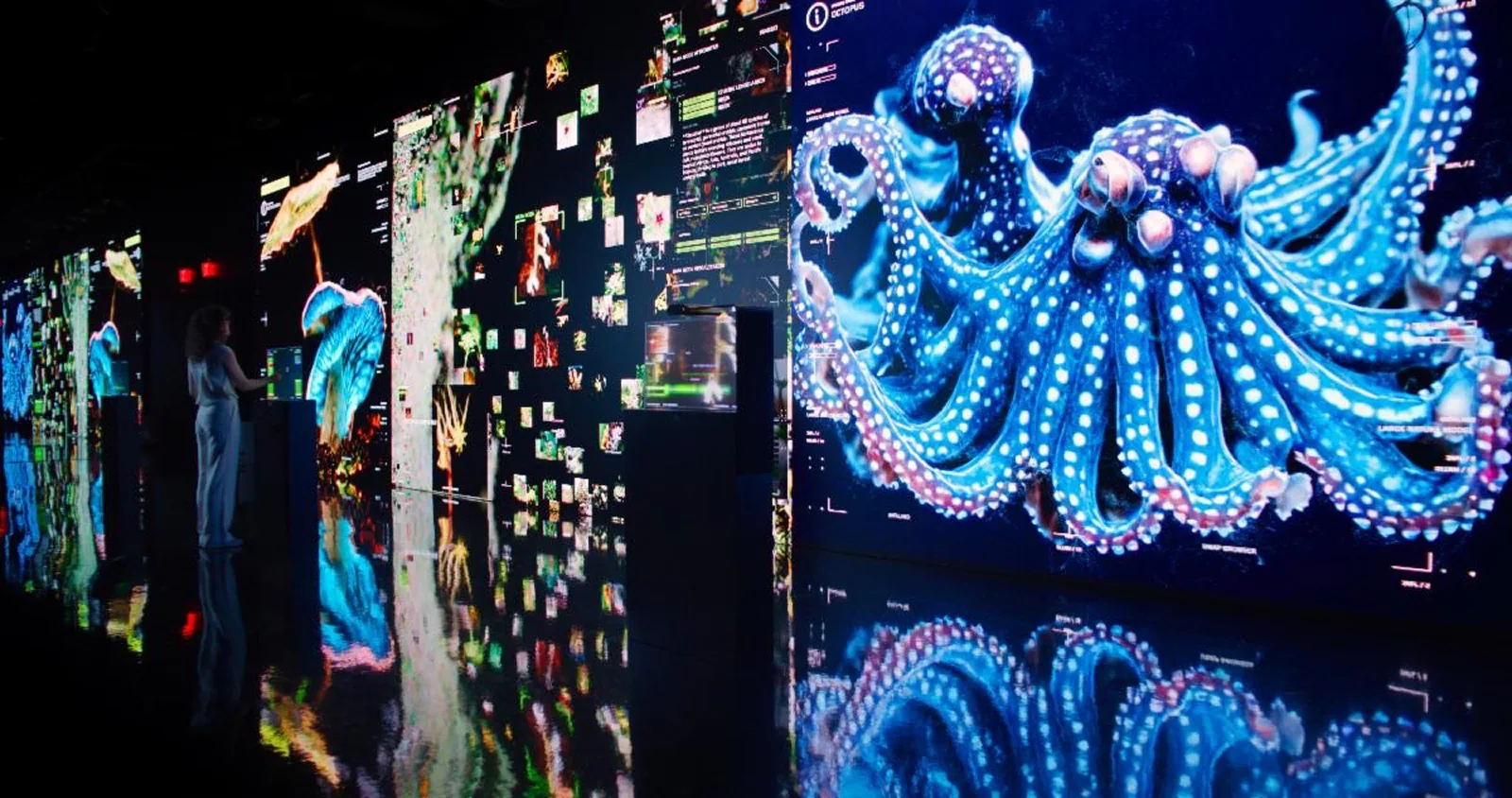 An immersive wall of luminous blue octopus imagery at DATALAND