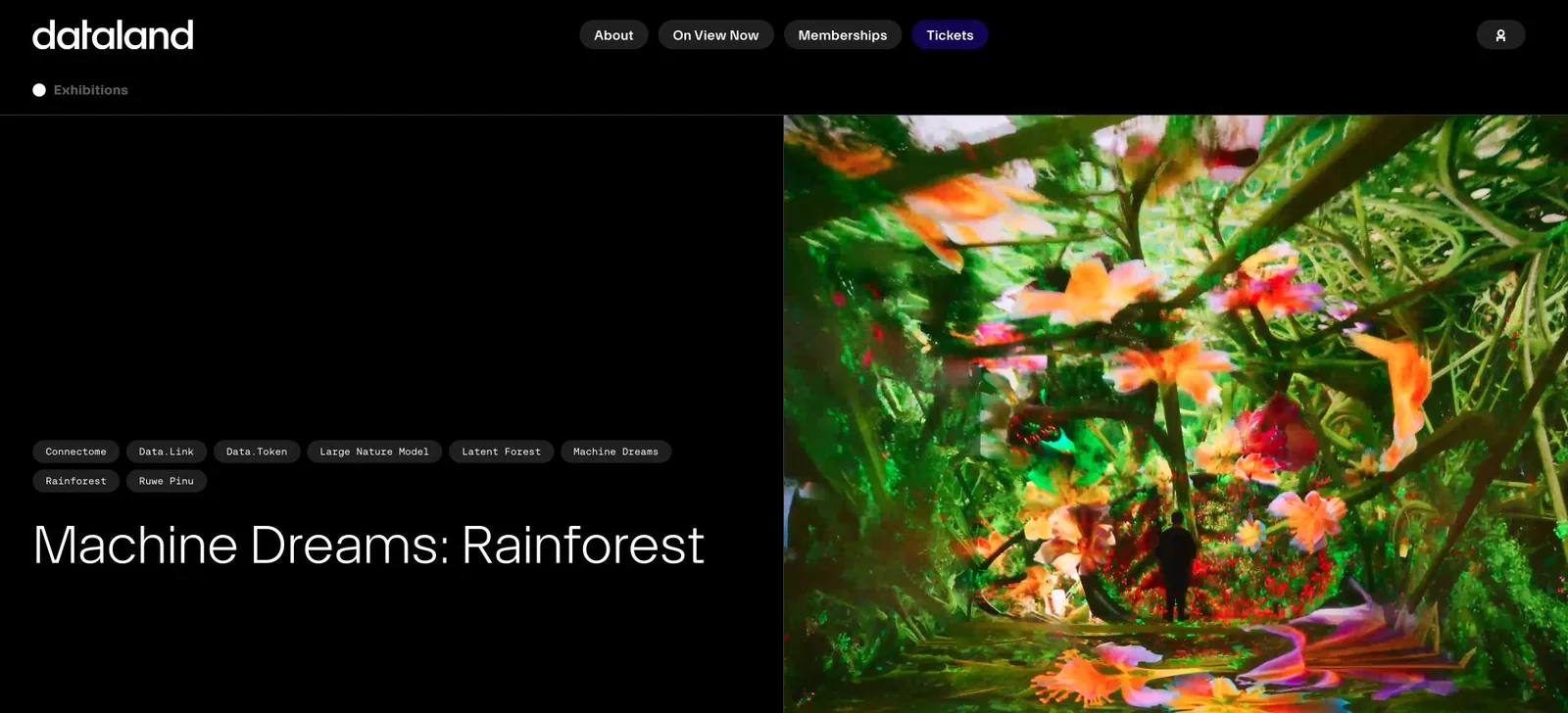 DATALAND's Machine Dreams Rainforest exhibition page